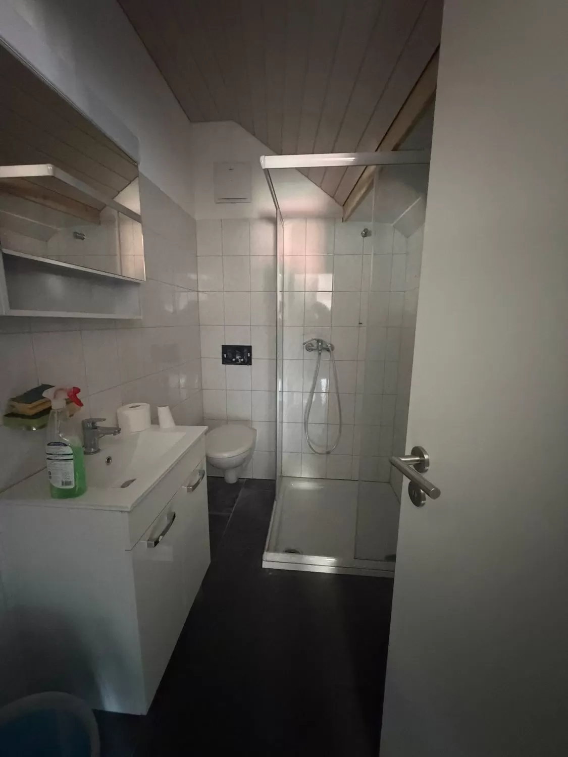 3 ½ Zimmer-Dachwohnung
